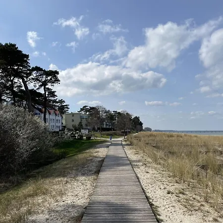 Blaumuschel - Lub101 By Interhome Apartment