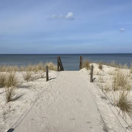 Blaumuschel - Lub101 By Interhome Apartment *