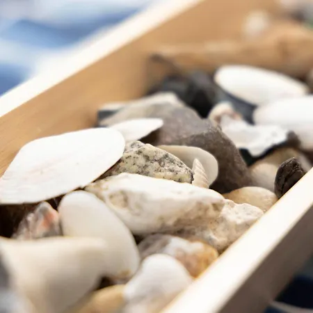 Apartment Blaumuschel - Lub101 By Interhome