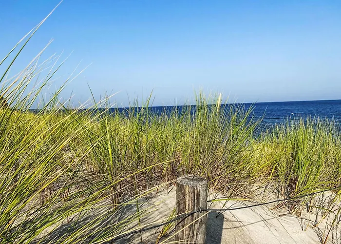 Blaumuschel - Lub101 By Interhome * Lubmin